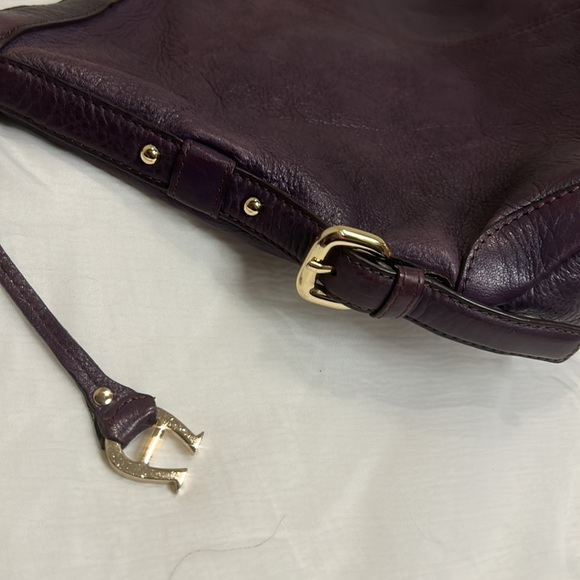 Etienne Aigner Purple Shoulder Hobo Bag - Picture 8 of 9